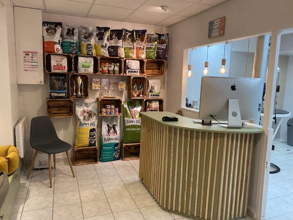 Salon de toilettage Dylou’ Toutou Chien, Chat, et NAC - Rennes - photo 2