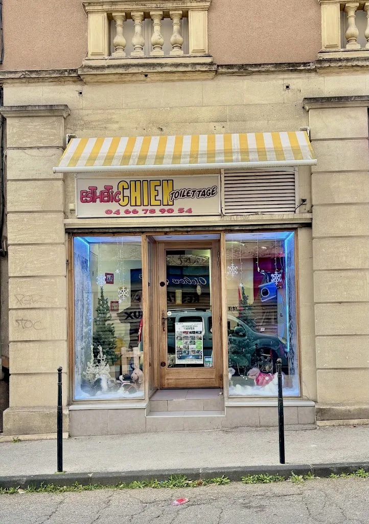 A B C du Chien - photo 2