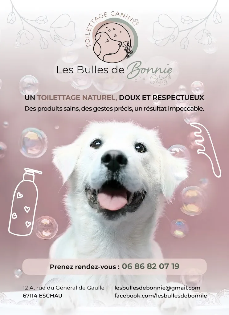 LES BULLES DE BONNIE - photo 1