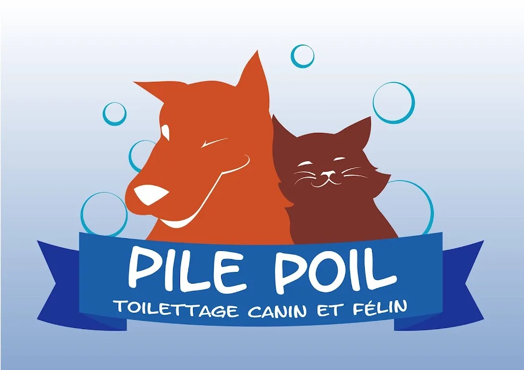 pile poil - photo 2