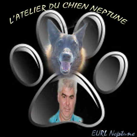 PIL POIL TOILETTAGE - photo 1