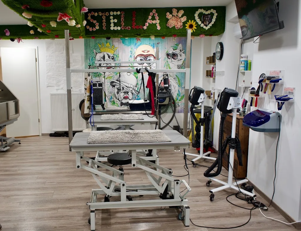 Stella‘s Beauty Dogs - photo 1