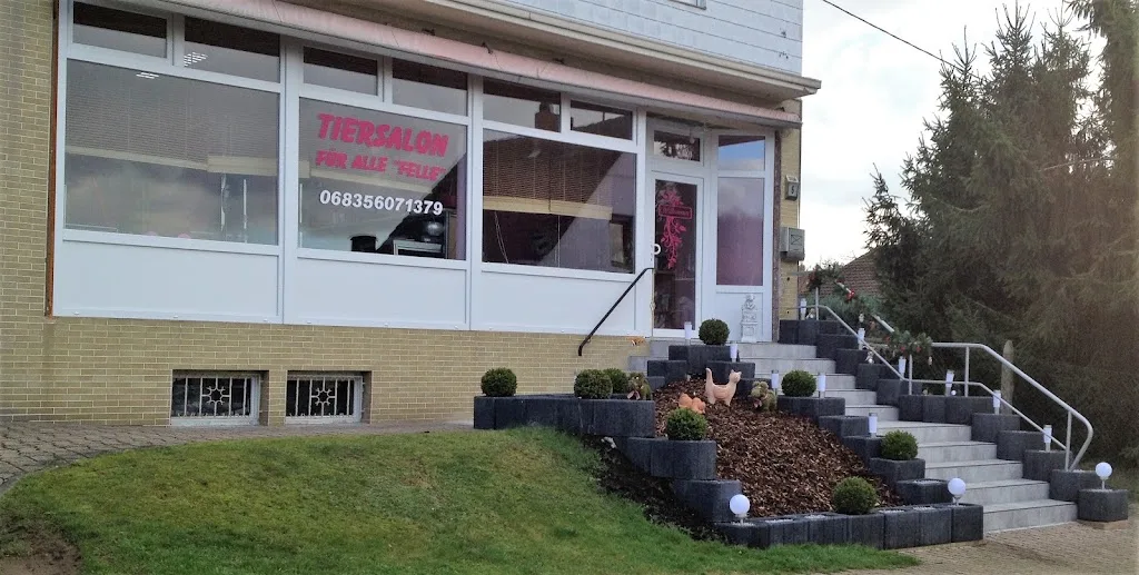Die Fell-Fee Hundesalon - photo 2