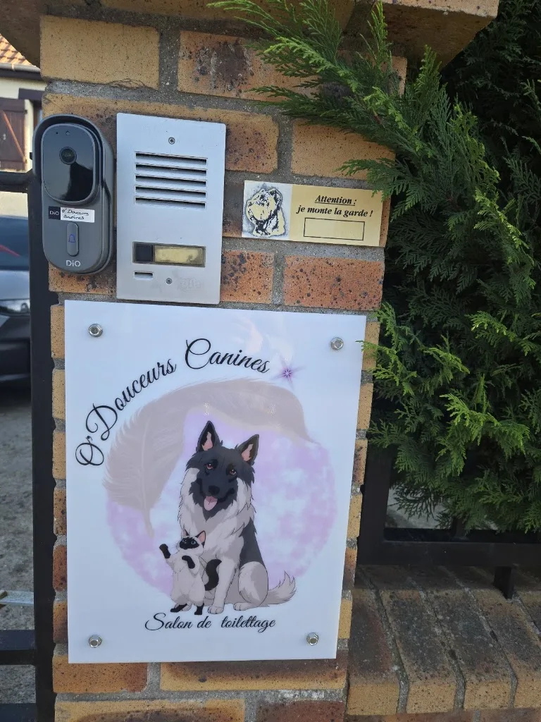 O' Douceurs Canines - photo 1
