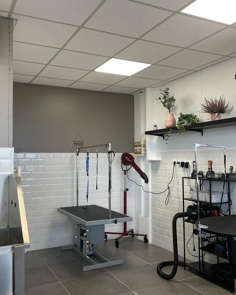 Dan's Pet Grooming - Salon de toilettage Beautiran - photo 2