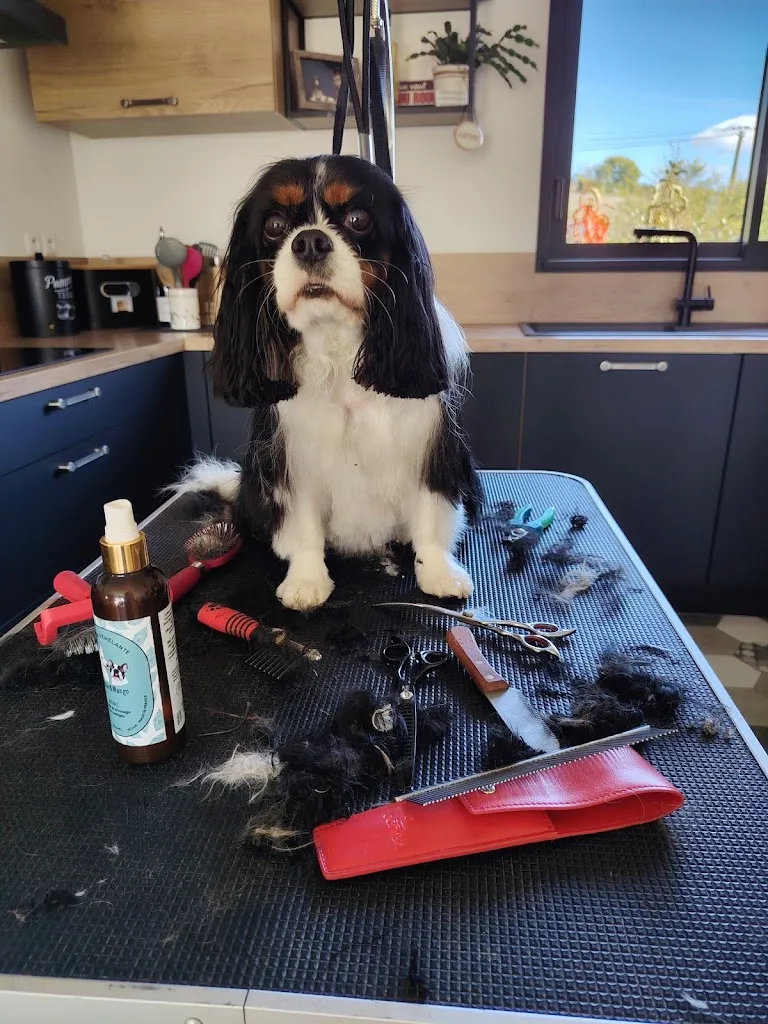 Top Dogs - photo 3