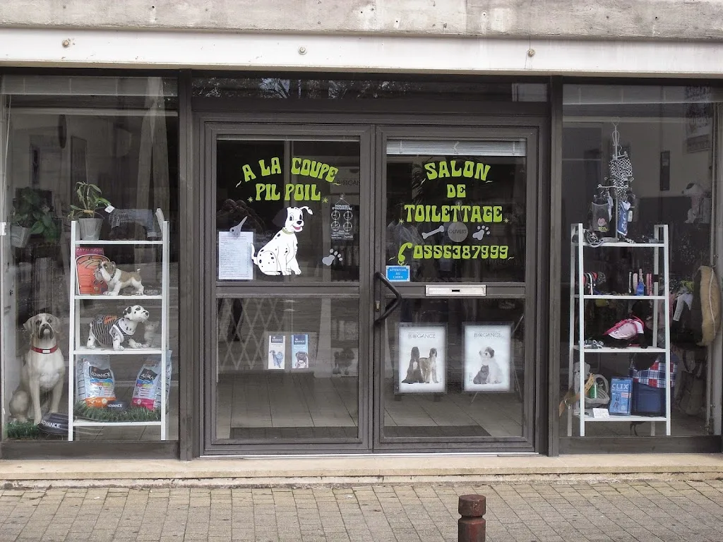 L'Atelier d'Emilie - photo 3