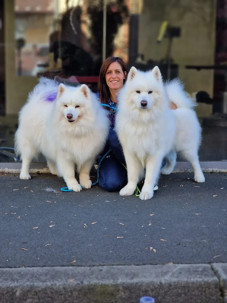 Star Canine - photo 3