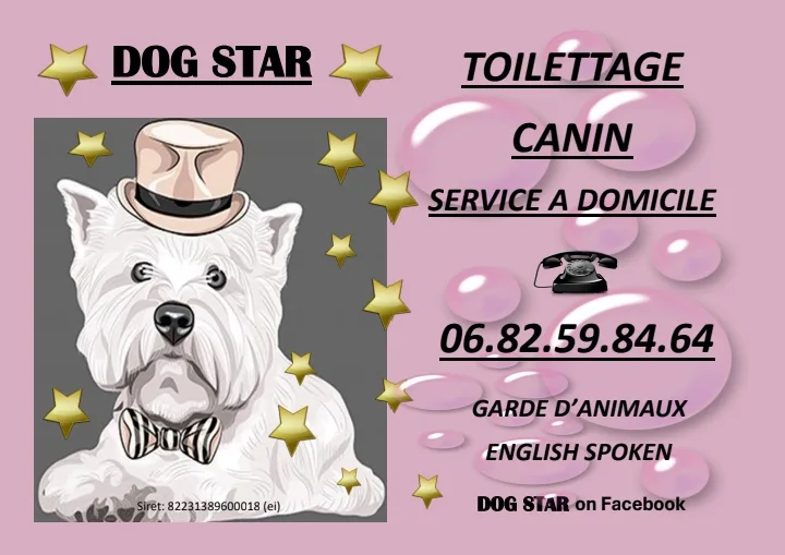 Toilettage Dog Star St Yrieix la Perche - photo 3