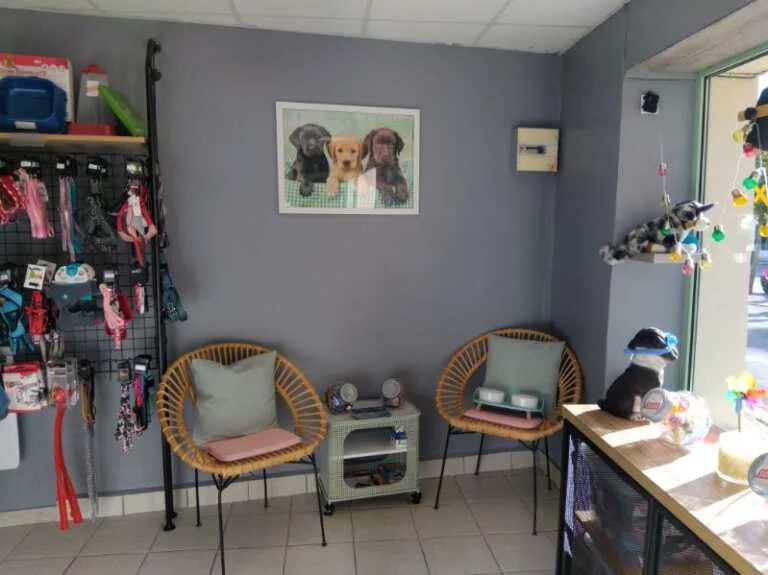 Au Chien Coquet - photo 1