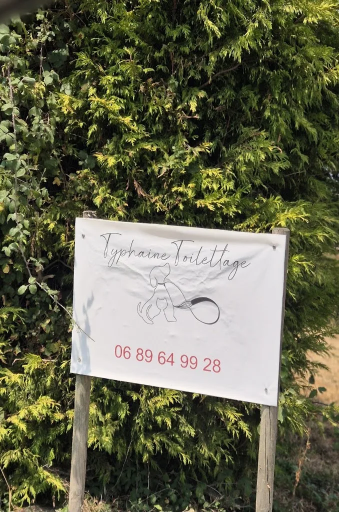 Typhaine toilettage hunault Jérémy ou Trottier typhaine - photo 2