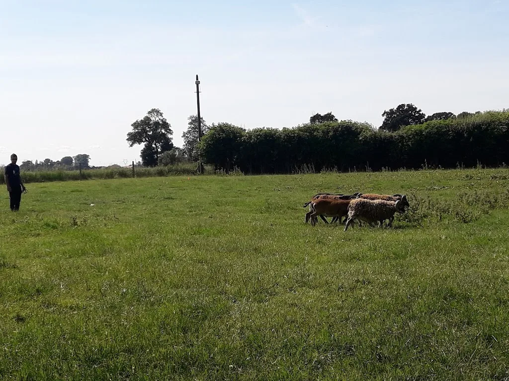Pension du val de Cassel - photo 1