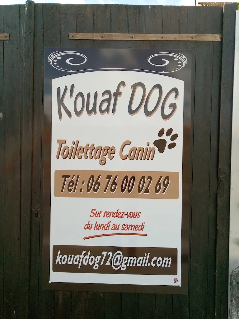 K'ouaf Dog - photo 1
