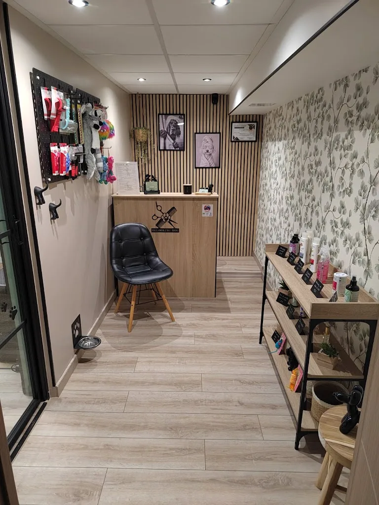 Relooking Dog - photo 1