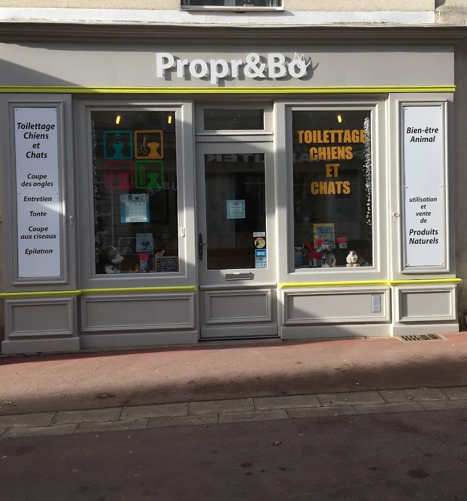 Salon de toilettage Propr&Bo - photo 2