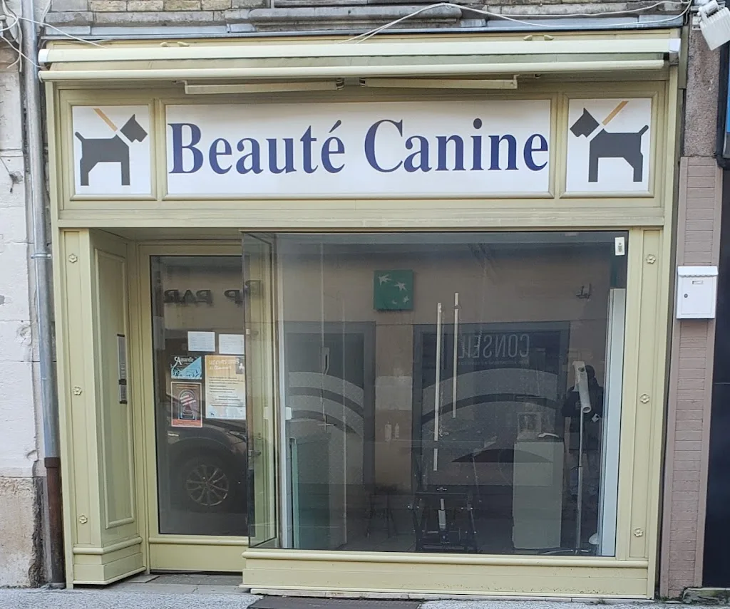 Beauté Canine - photo 1