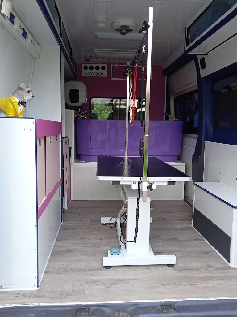 O'toutou Chic Toiletteur en camion aménagé - photo 2