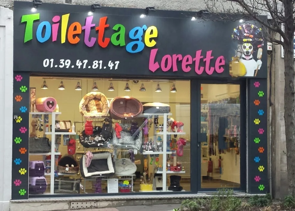 Toilettage Lorette - photo 3