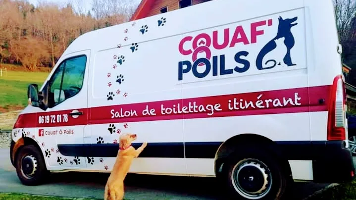 Couaf' ô poils - photo 1