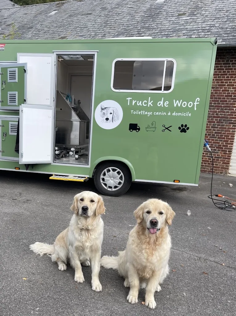 Truck de woof - photo 2
