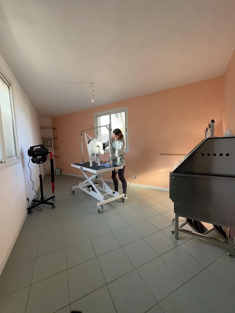 Le Salon Canin - photo 1