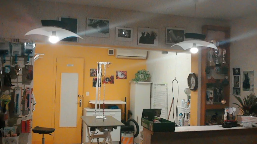 Sci Du 58 Rue Du General Girault - photo 2