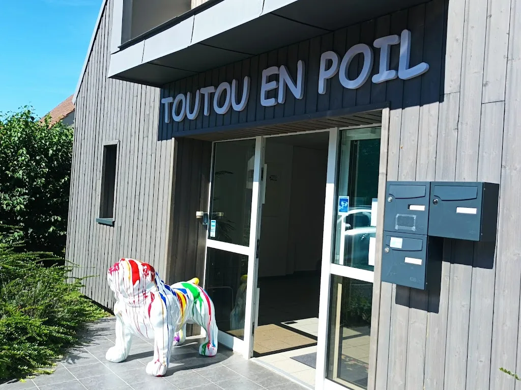 Toutou en poil - photo 1