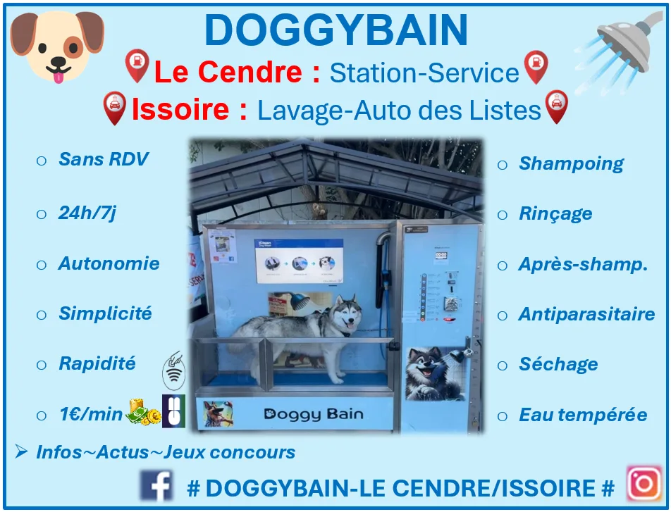 Doggybain - Le Cendre - photo 1