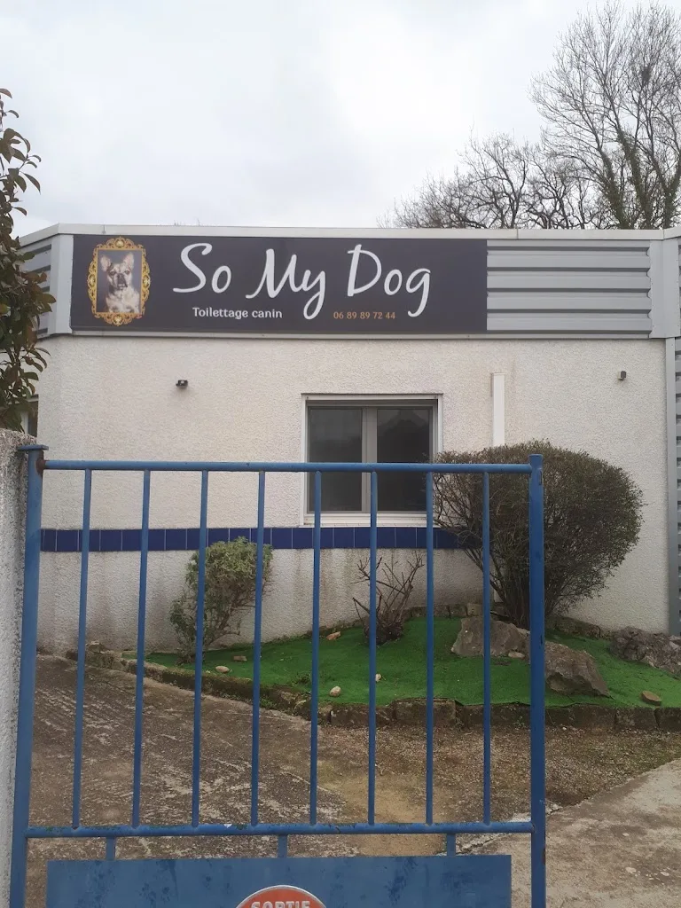 So My Dog - photo 1