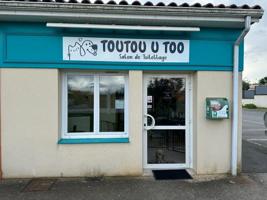 Mille et une Pattes - photo 1
