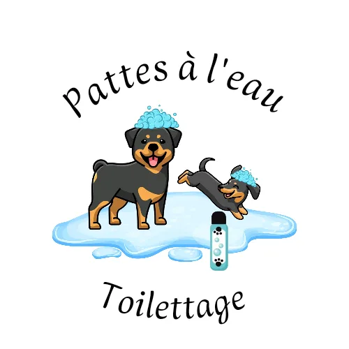 Pattes à l'eau - toilettage - photo 2