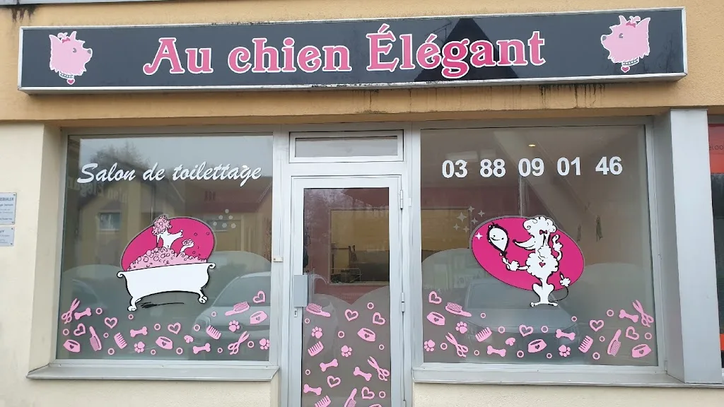 Au Chien Elegant - photo 3