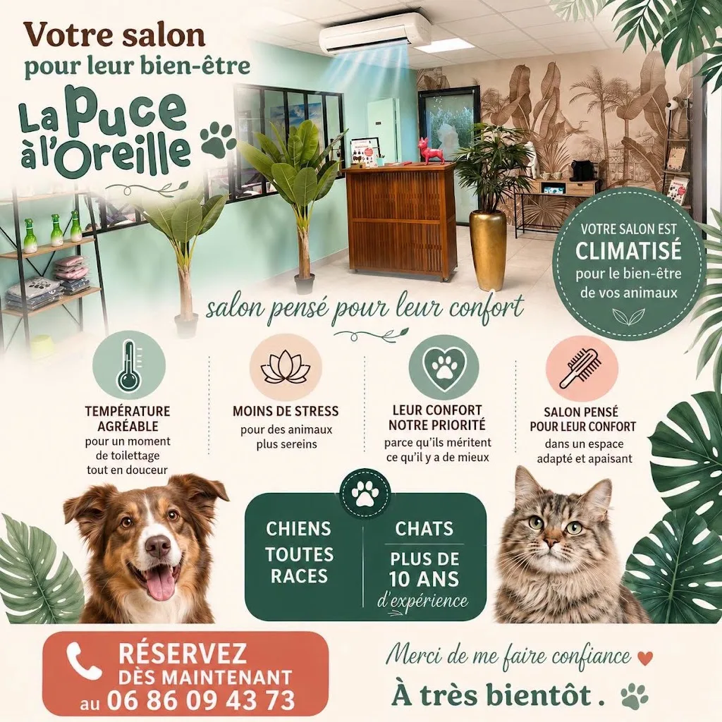 La Puce à l'Oreille - photo 1
