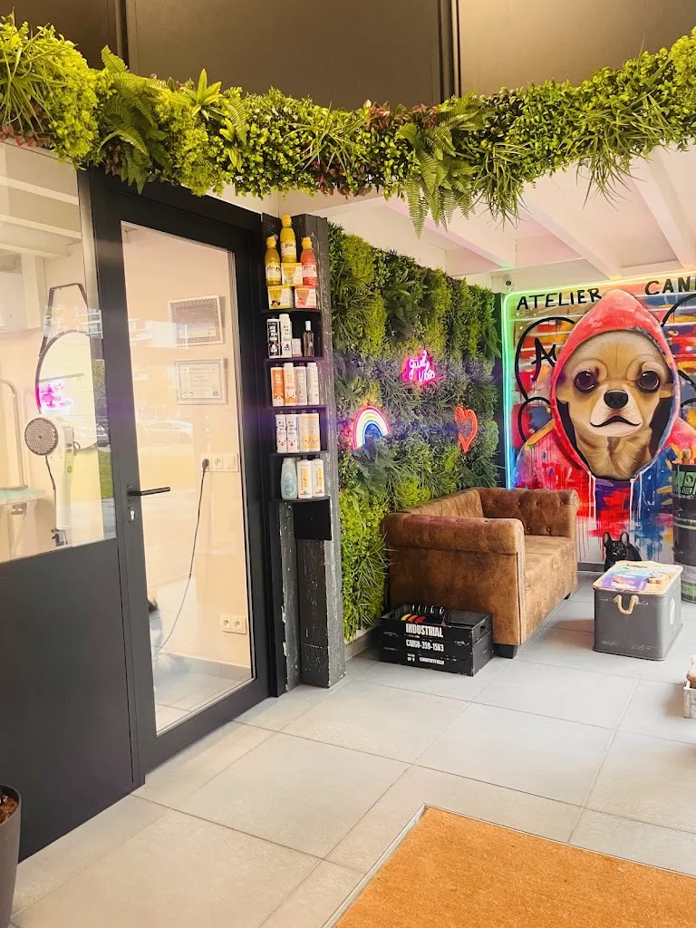 L’Atelier Canin By Andréa - photo 1