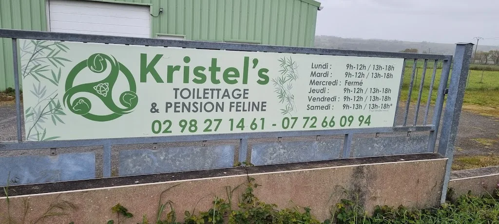Kristel's Toilettage & pension féline - photo 1