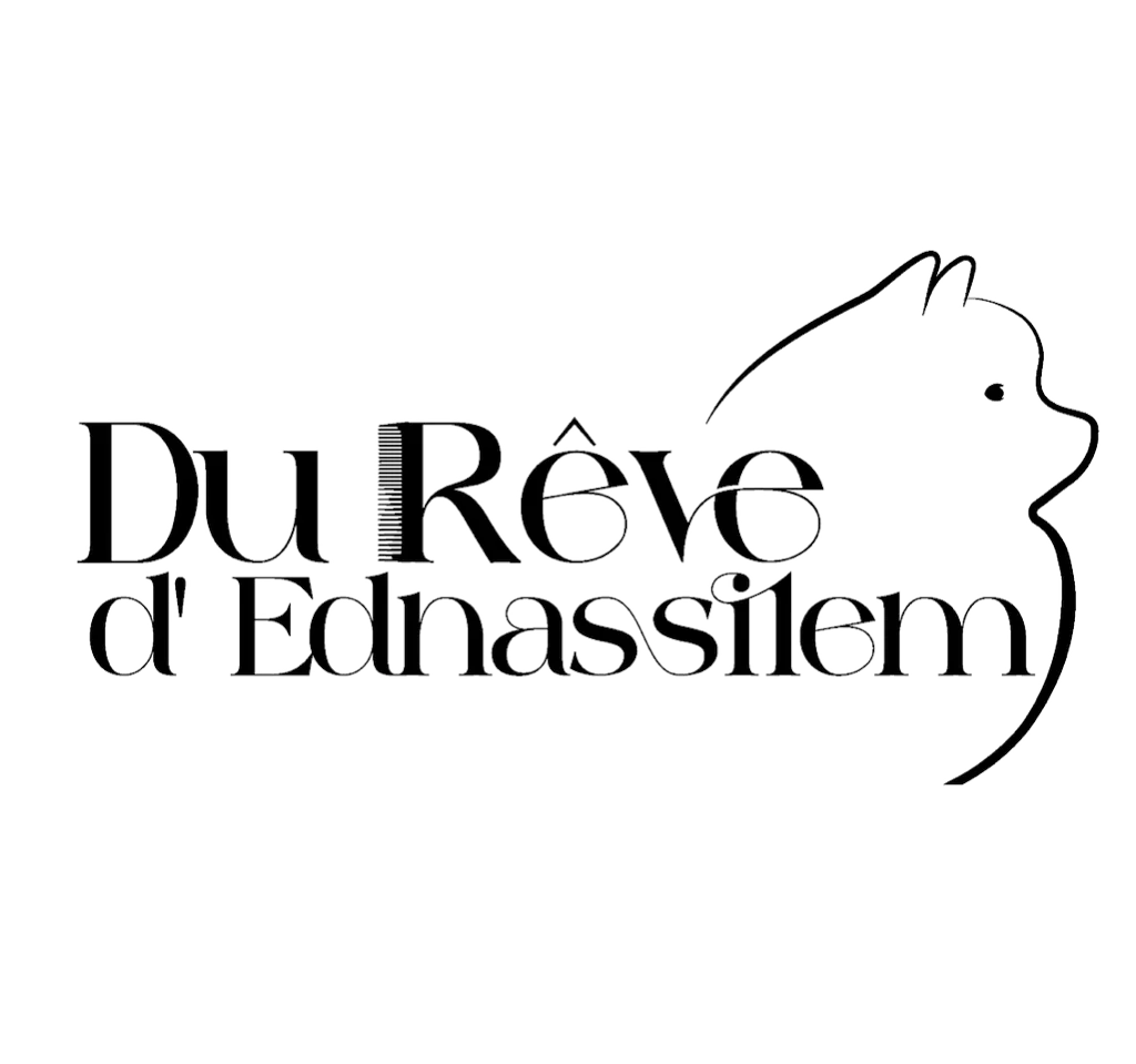 Du rêve d’Ednasiilem - photo 1