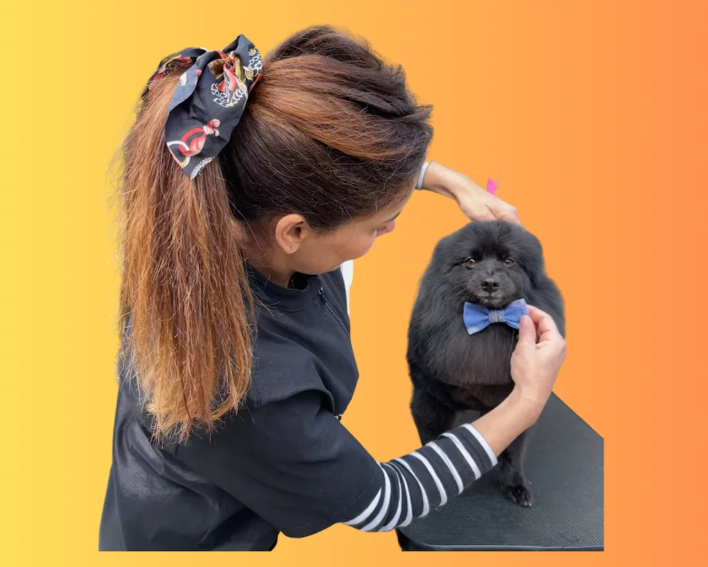 Les Animaux d'Ana - photo 1