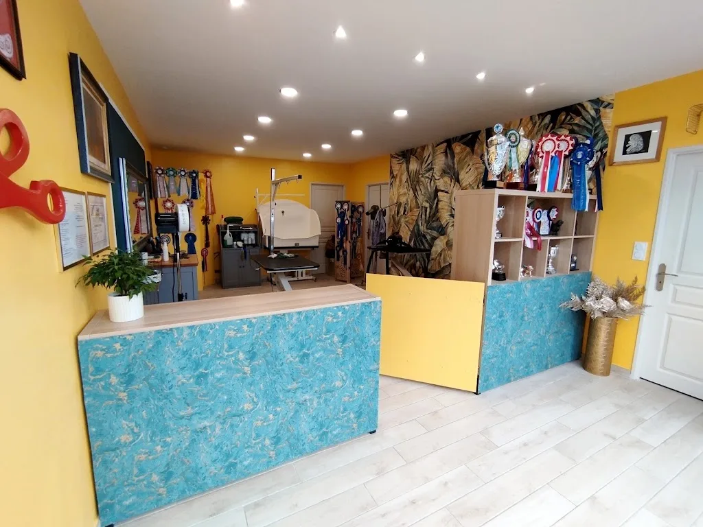 Salon de toilettage d'Hélène - photo 3