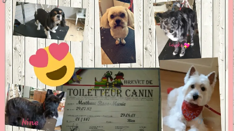 Les amis de charlie - photo 2