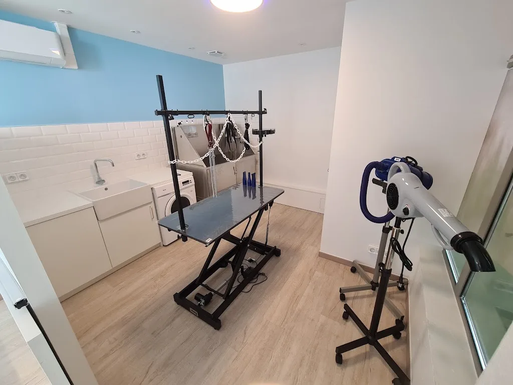 Salon de toilettage Maxi Zoo - Clayes-sous-Bois - photo 3