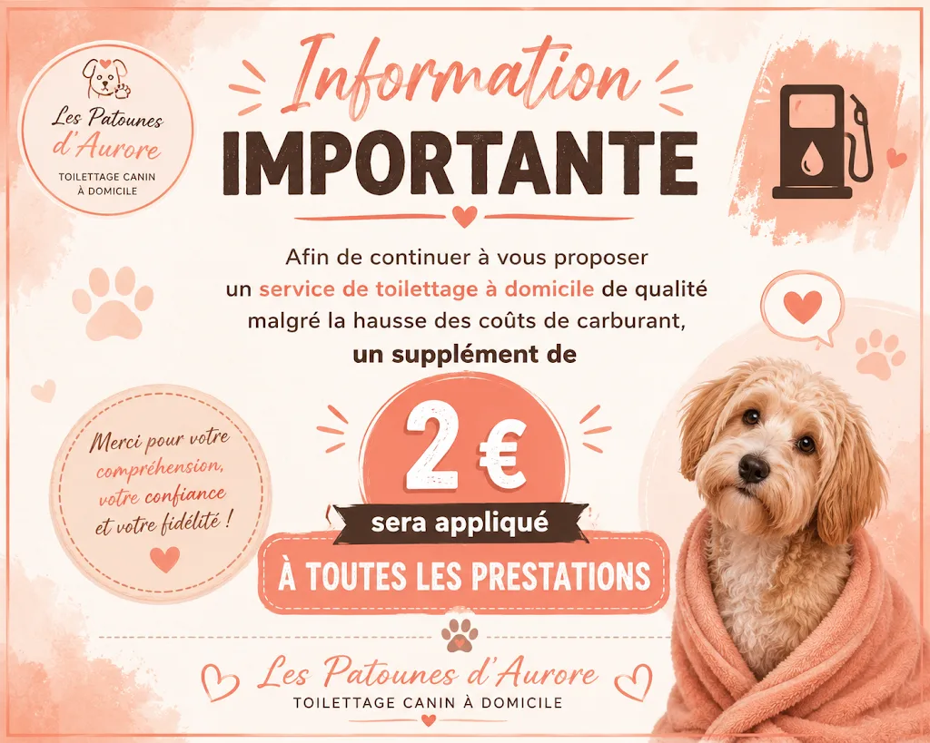 Les Patounes d'Aurore toilettage a domicile - photo 2