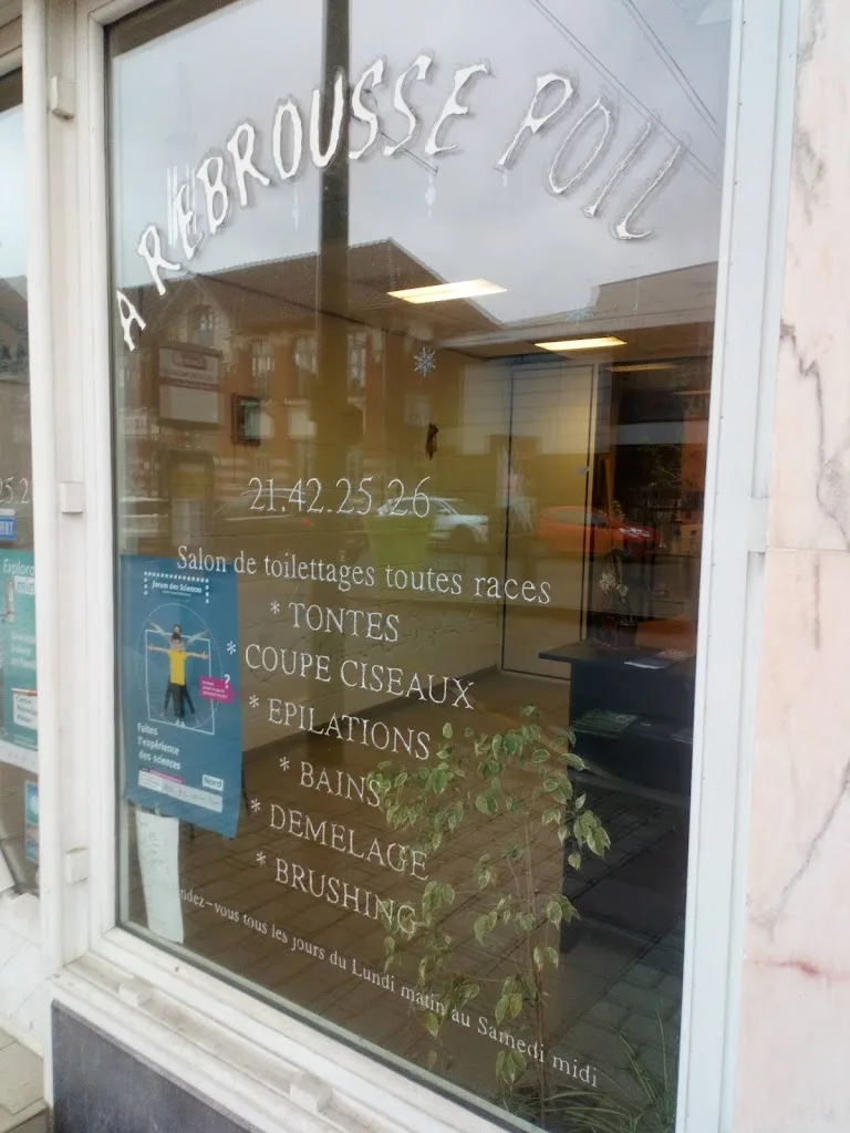 A Rebrousse Poil - photo 1