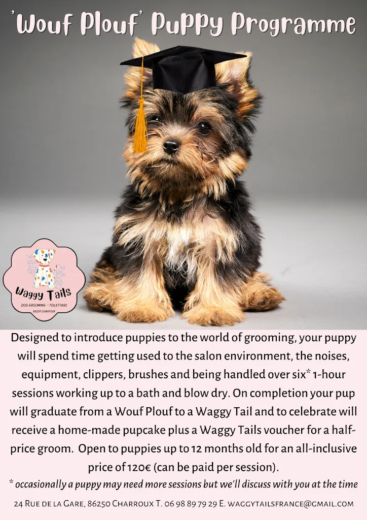 Waggy Tails Charroux - photo 2