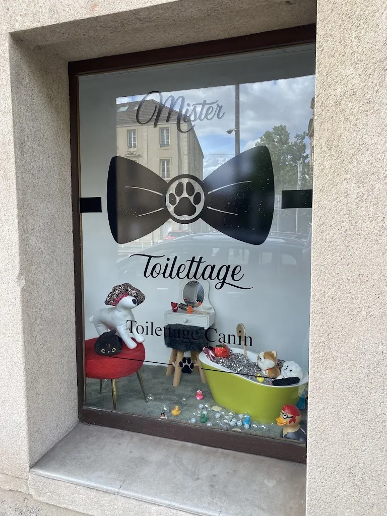 Mister Toilettage Metz centre - photo 3