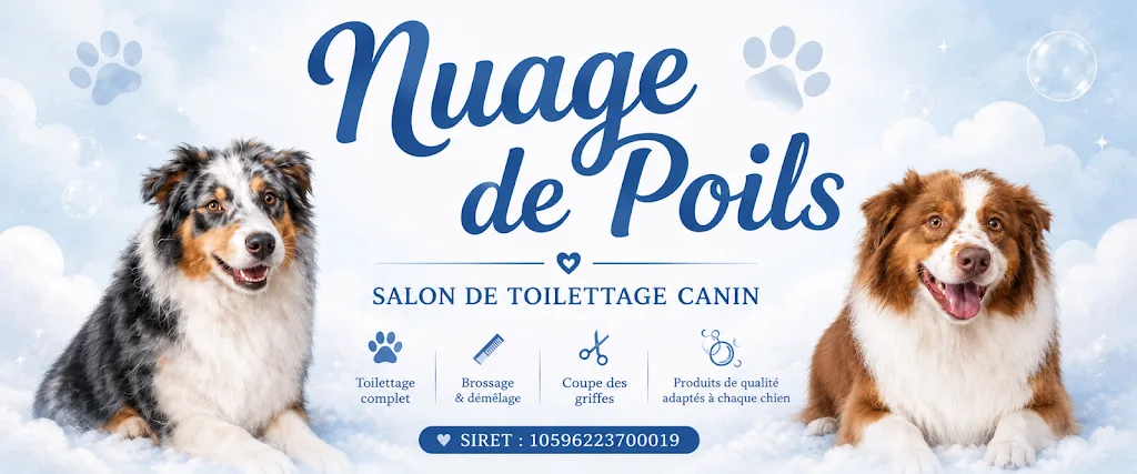 Nuage de Poils - photo 1