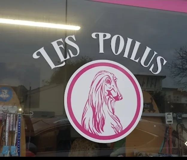 Les Poilus - photo 1