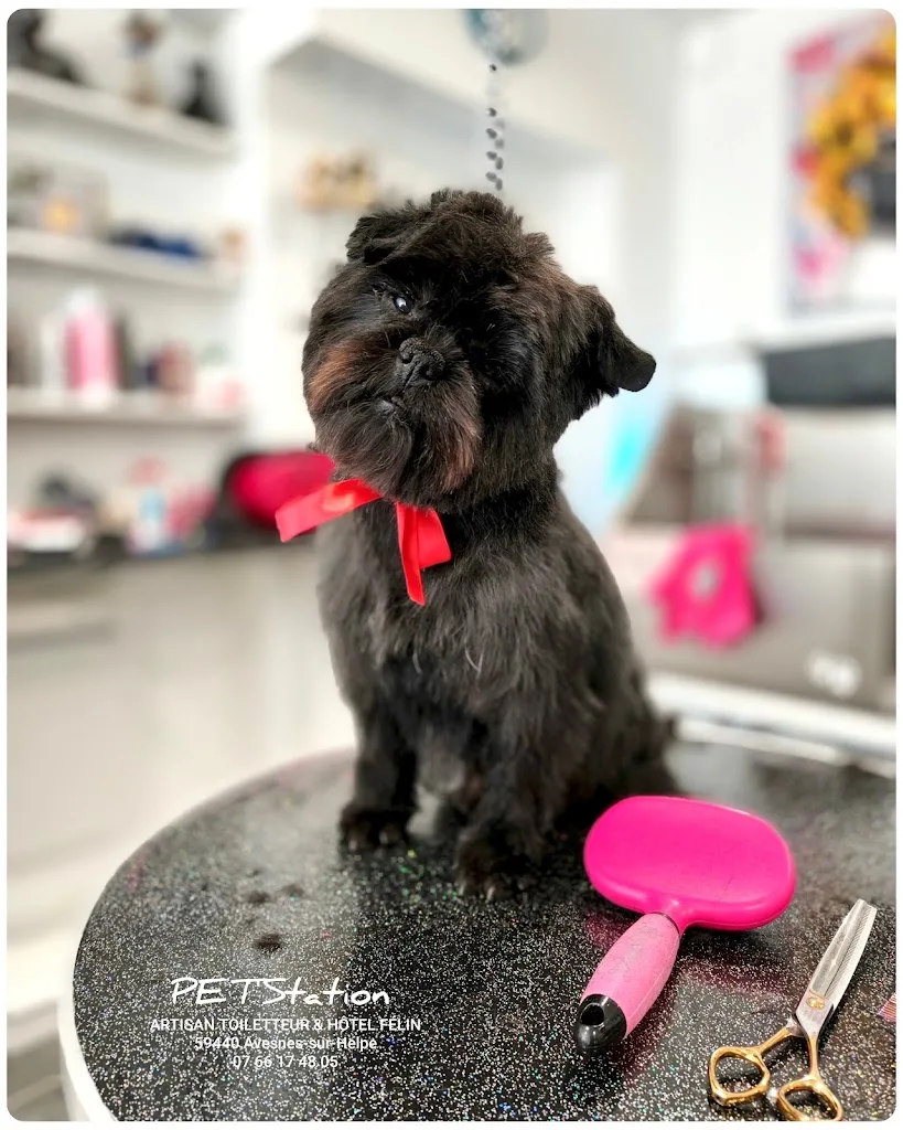 PET'Station | Artisan Toiletteur & Hôtel Félin - photo 1