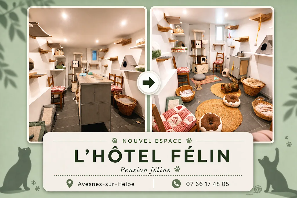 PET'Station | Artisan Toiletteur & Hôtel Félin - photo 2