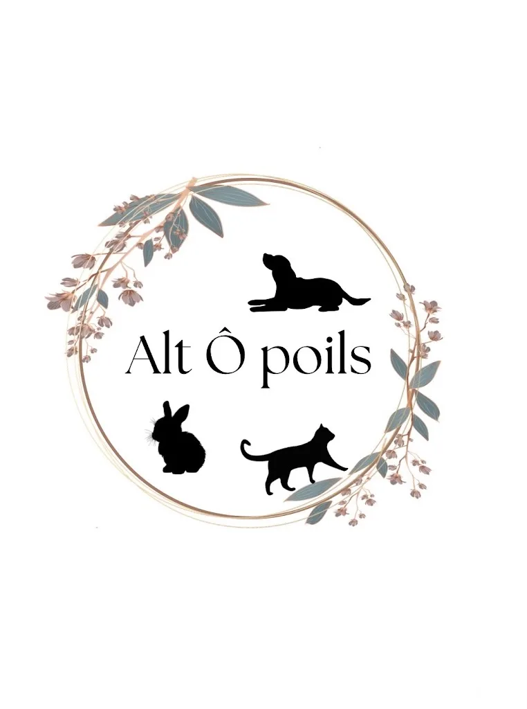 Salon de toilettage - Alt Ô Poils - photo 1