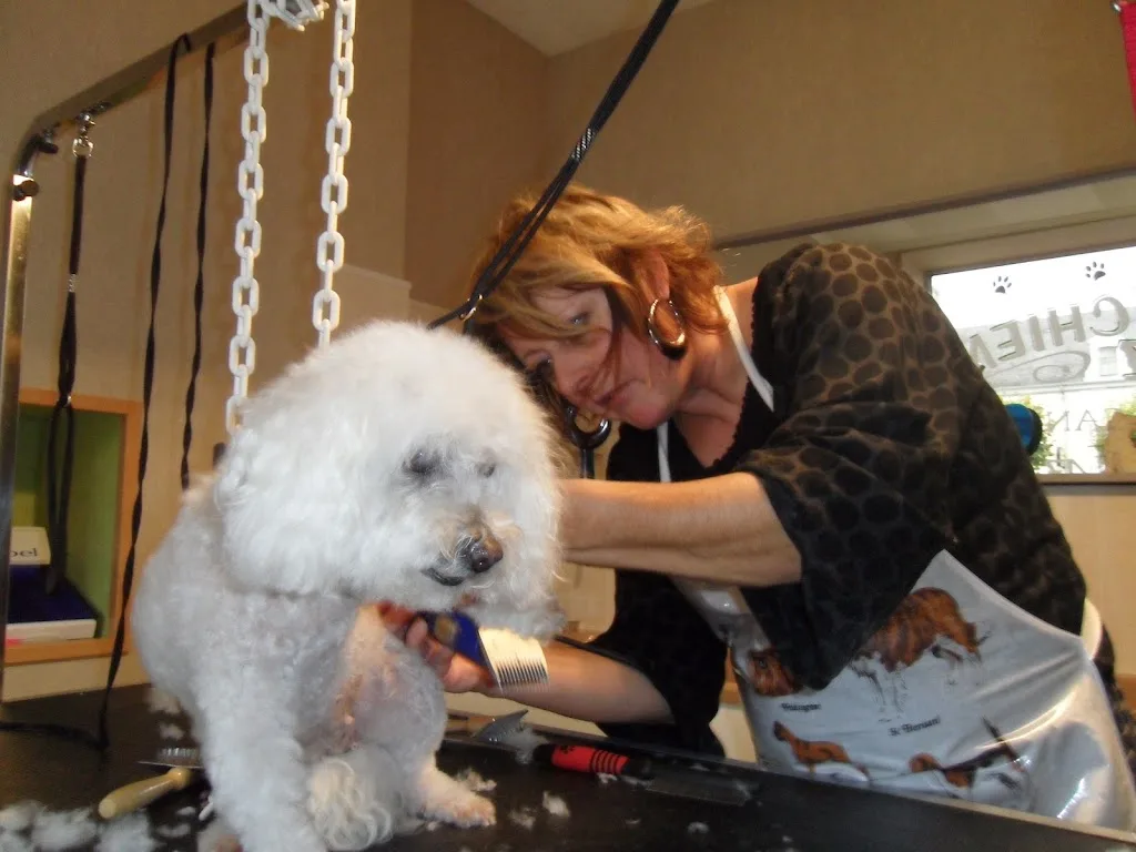 LE MAGI'CHIEN D'OZ - photo 1